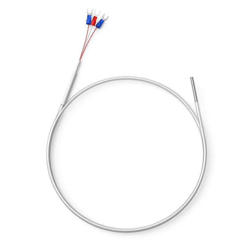 鐵氟龍熱電阻12_http://www.psytrip.cn_溫度儀表_第1張