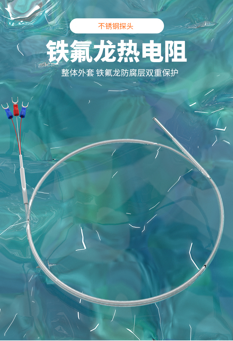 鐵氟龍熱電阻12_http://www.psytrip.cn_溫度儀表_第4張