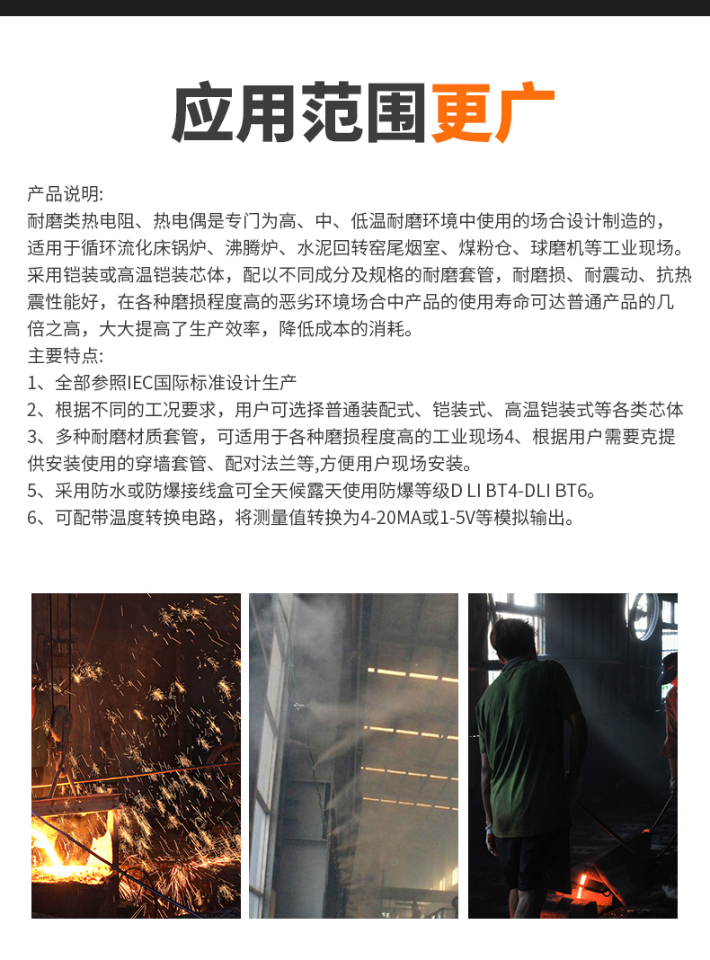 WRNM-131耐磨熱電偶15_http://www.psytrip.cn_溫度儀表_第6張